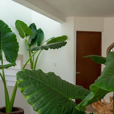 カンクンRecamara 5 Tulumアパートメント エクステリア 写真
